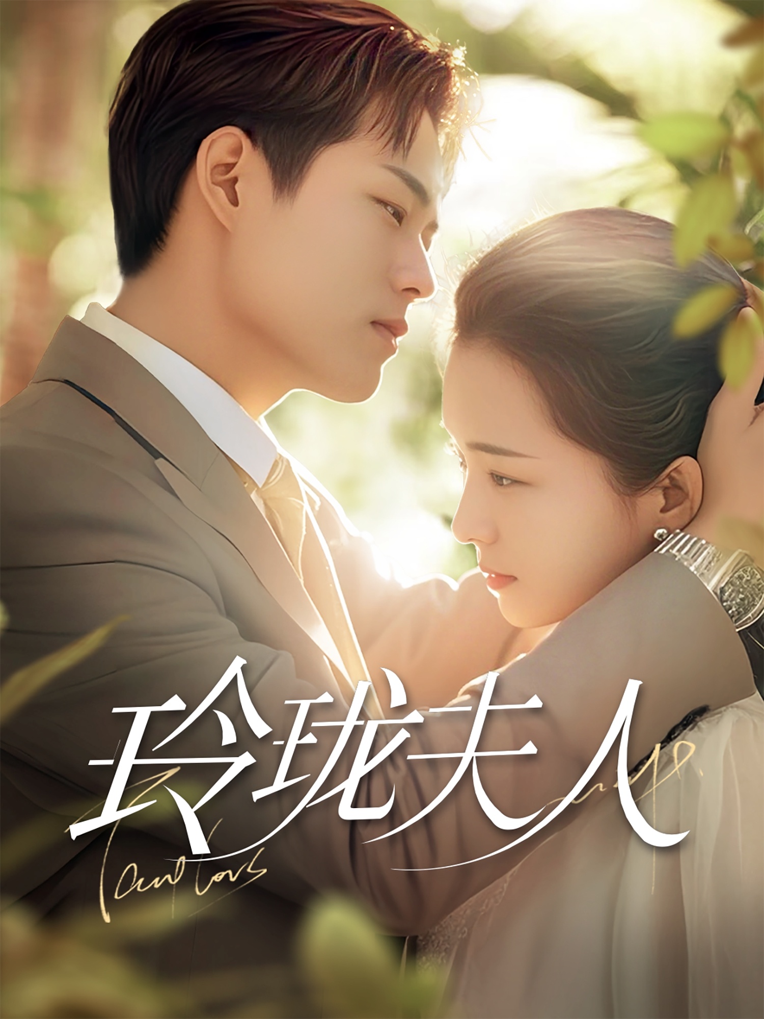 玲珑夫人封面图