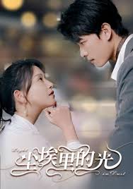 尘埃里的光封面图