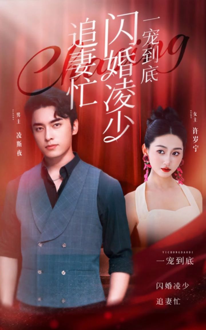 一宠到底闪婚凌少追妻忙封面图