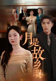 月是故乡明封面图
