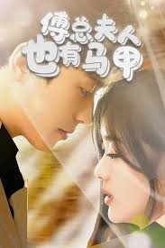 傅总夫人也有马甲封面图