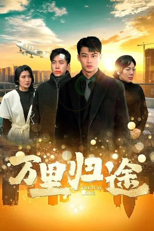 万里归途封面图