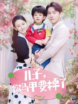 儿子你马甲要掉了封面图