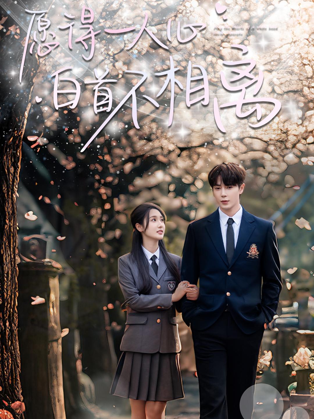 愿得一人心白首不相离封面图