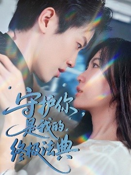 守护你是我的终极法典封面图