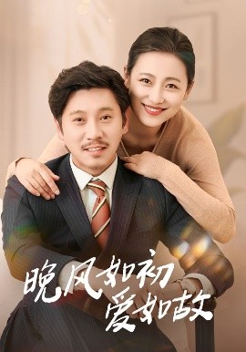 晚风如初爱如故封面图