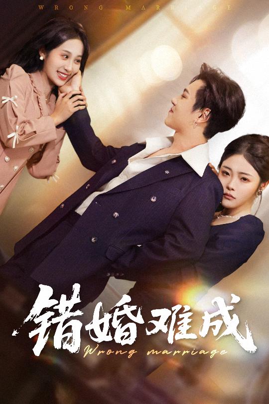 错婚难成封面图