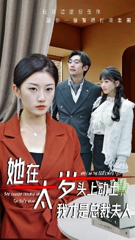 她在太岁头上动土我才是总裁夫人封面图