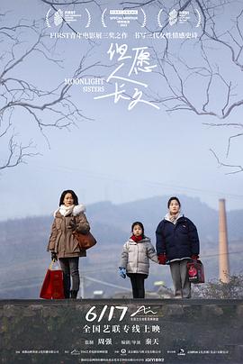 但愿人长久封面图