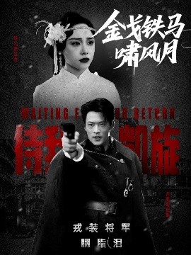 金戈铁马啸风月封面图