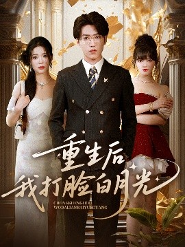 重生后我打脸白月光封面图