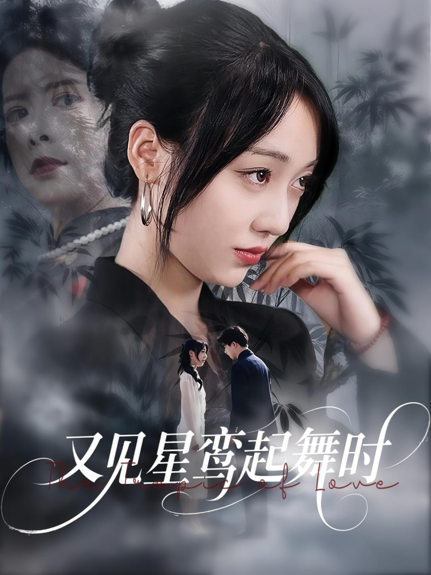 又见星鸾起舞时封面图