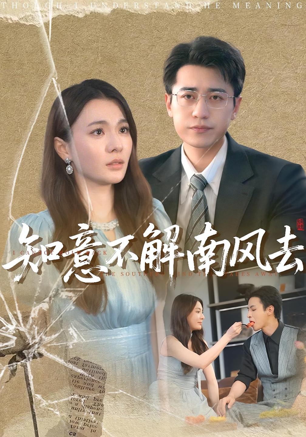 知意不解南风去封面图