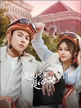 是风动是心动封面图