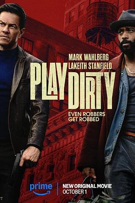 盗亦有道预告封面图