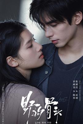 野狗骨头预告封面图