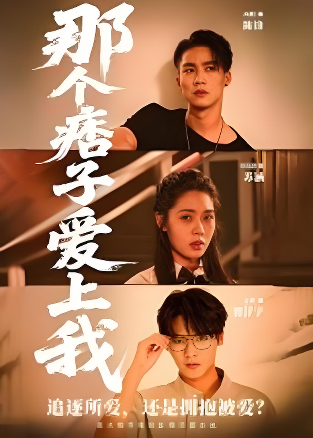 那个痞子爱上我