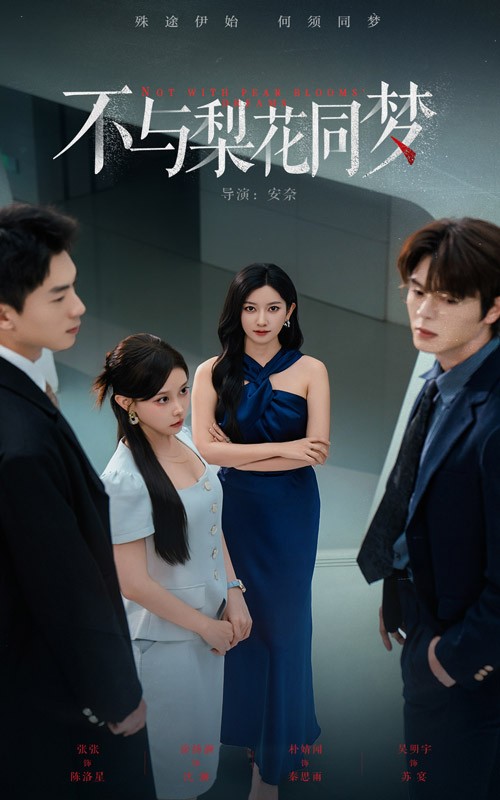 不与梨花同梦封面图