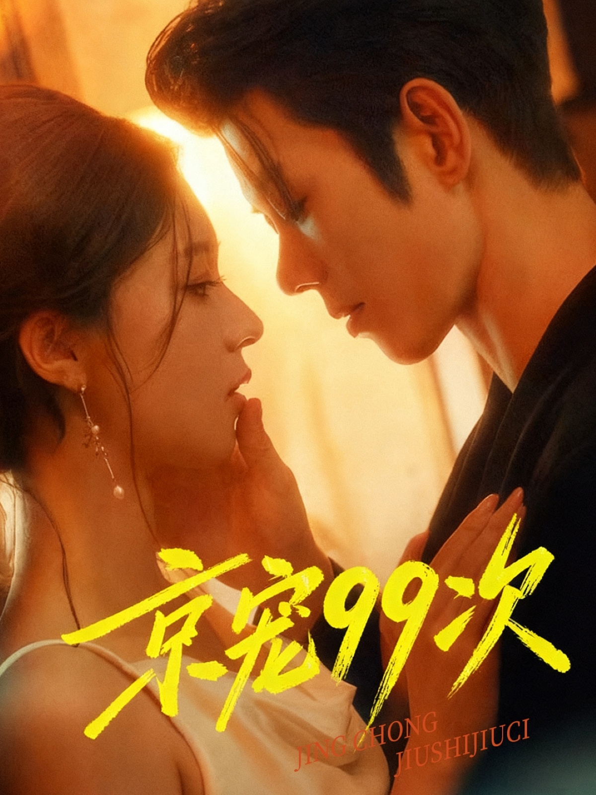 京宠九十九次封面图