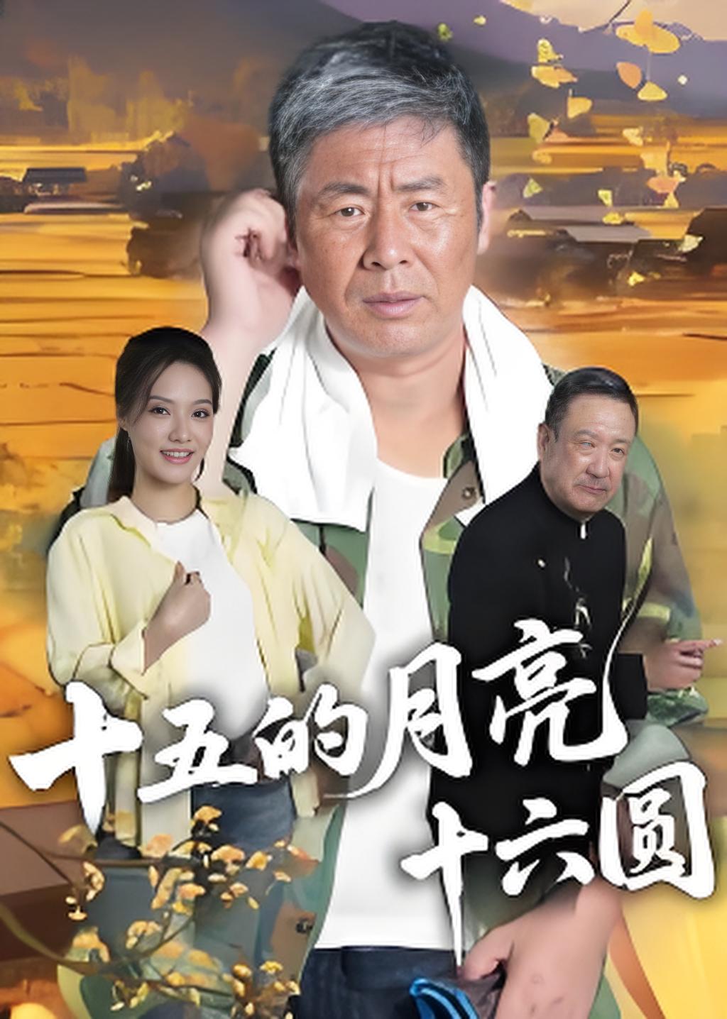 十五的月亮十六圆封面图