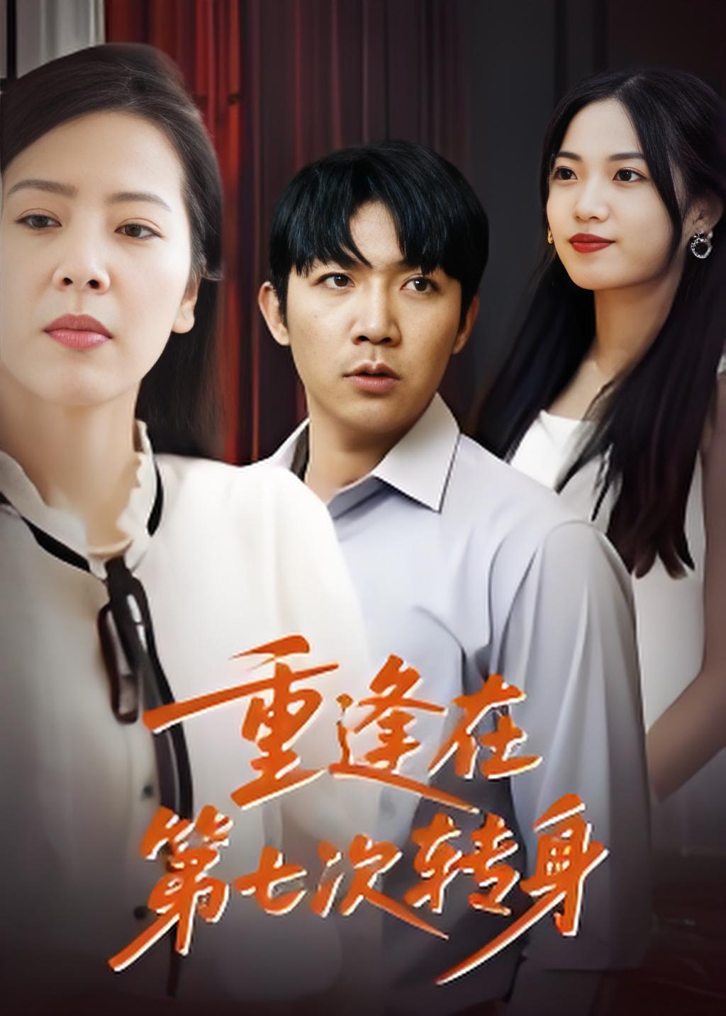 重逢在第七次转身封面图