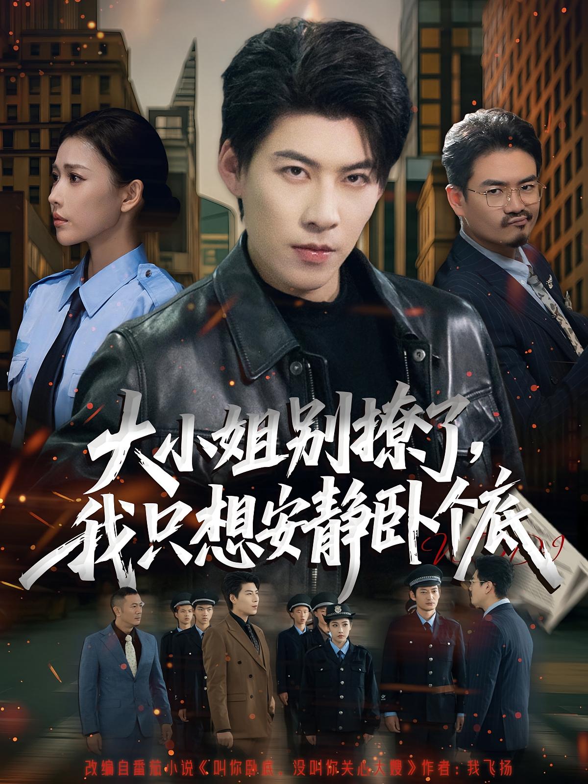 大小姐别撩了我只想安静卧个底封面图