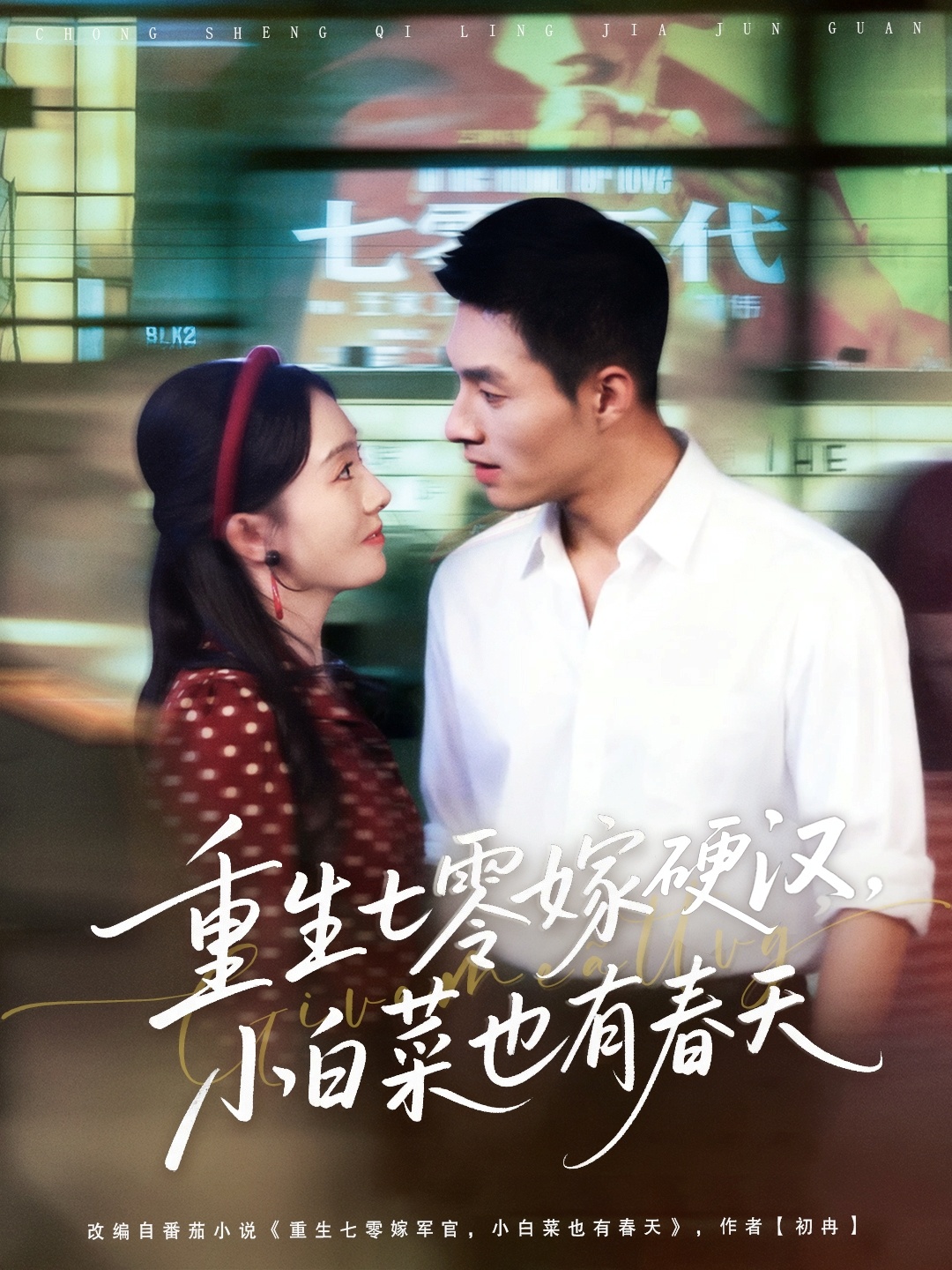 重生七零嫁硬汉小白菜也有春天