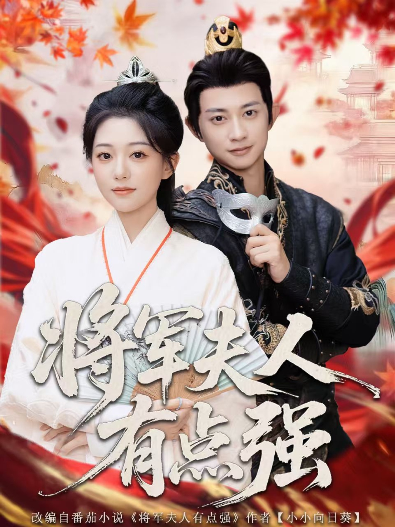 将军夫人有点强封面图