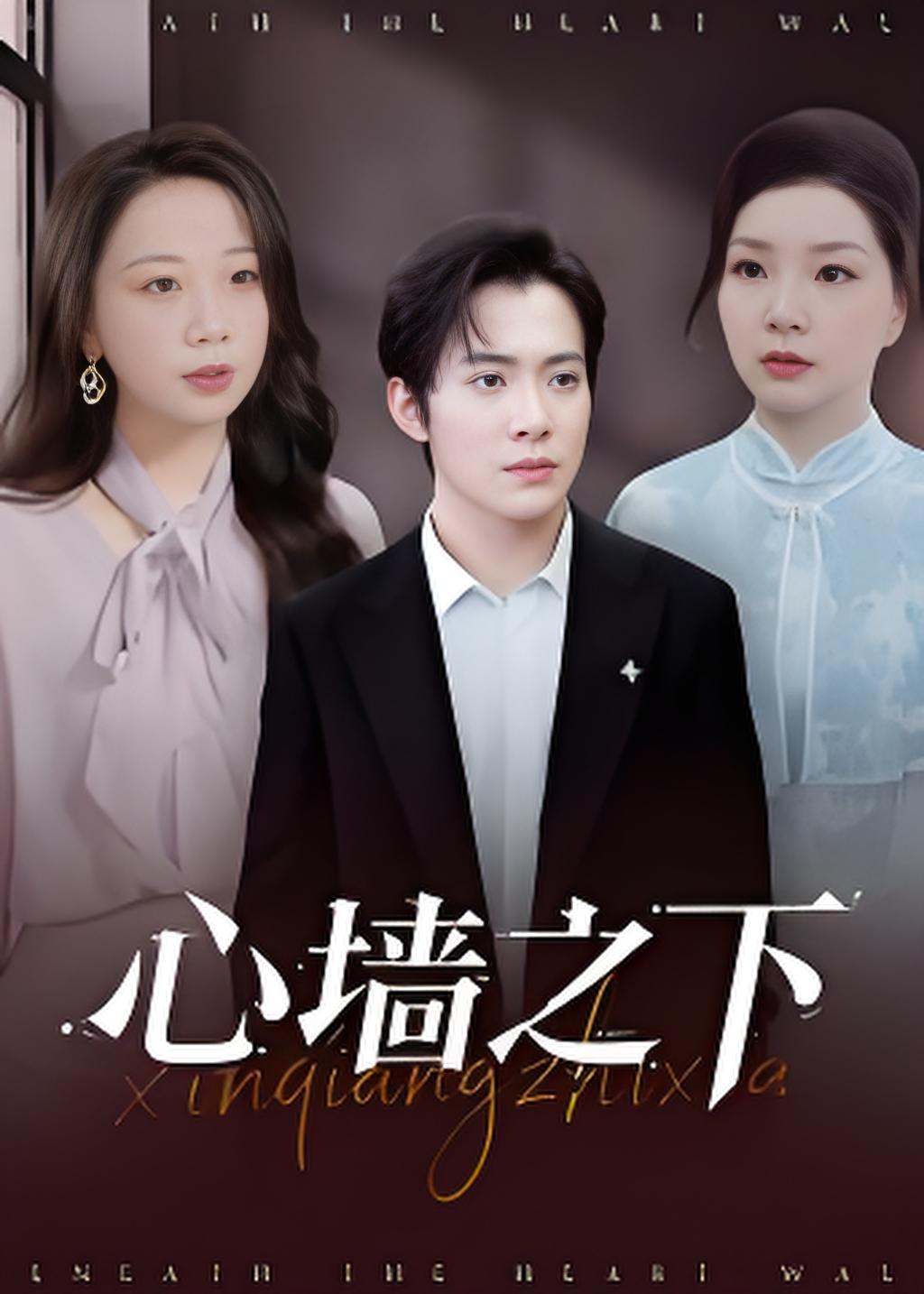 心墙之下封面图