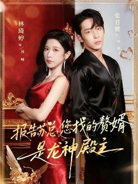 报告苏总您找的赞婿是龙神殿主封面图