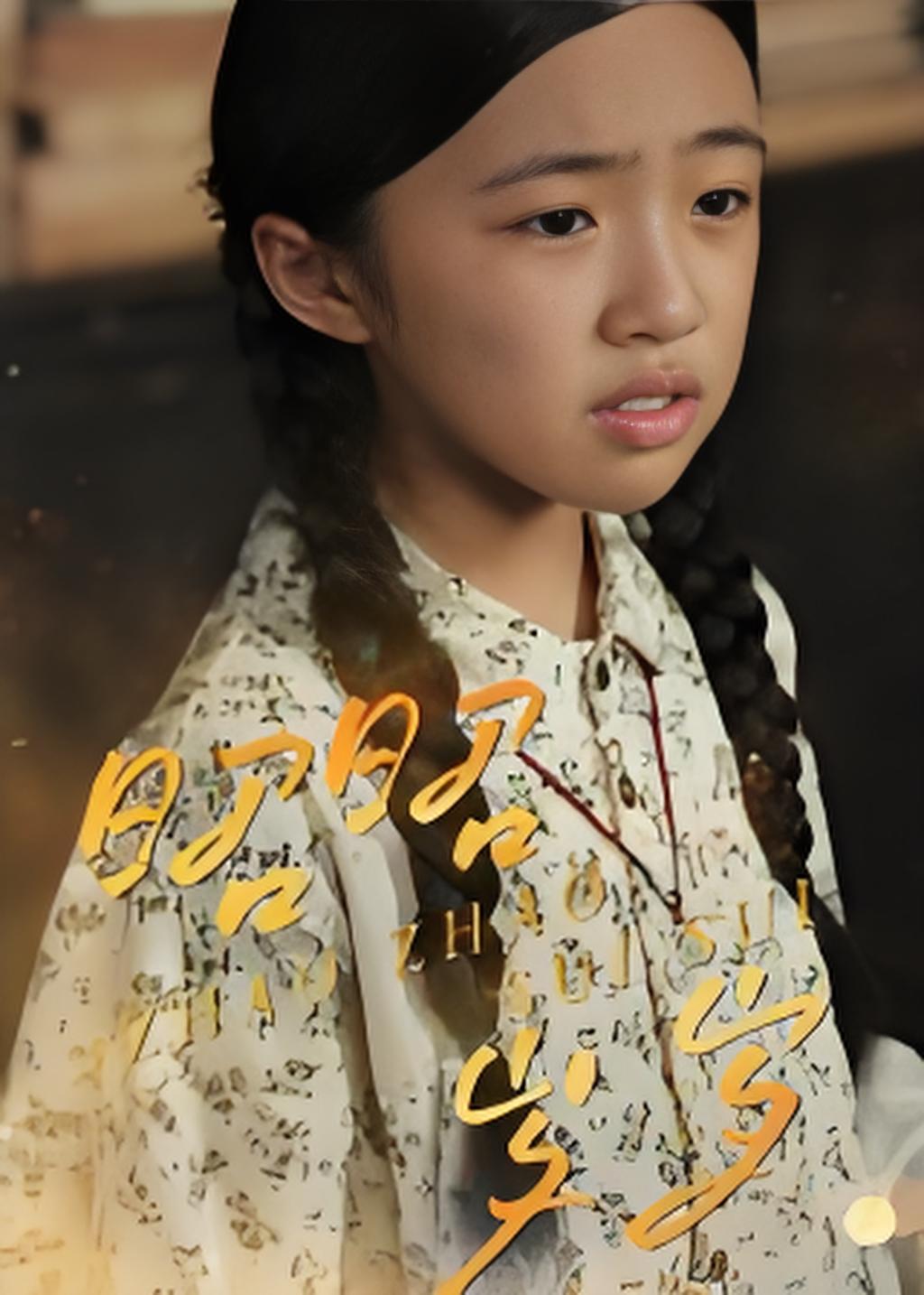 昭昭岁岁封面图