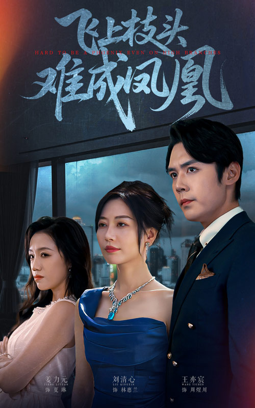 飞上枝头难成凤凰封面图