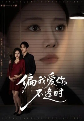 偏我爱你不逢时封面图