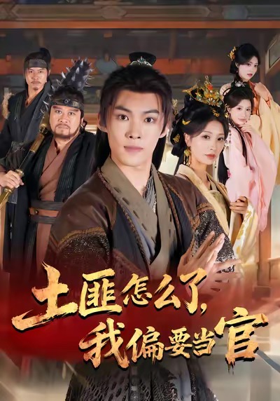 土匪怎么了我偏要当官封面图
