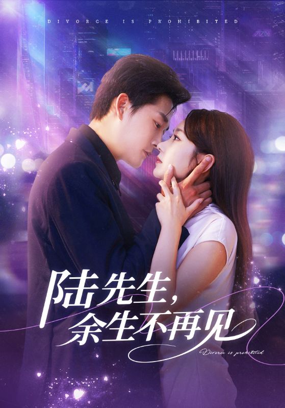陆先生余生不再见封面图