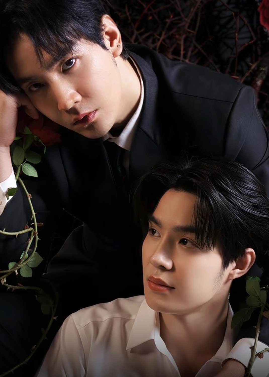 荆棘间的救赎封面图