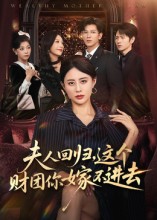 夫人回归这个财团你嫁不进去封面图