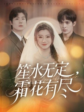 笙水无定霜花有尽封面图