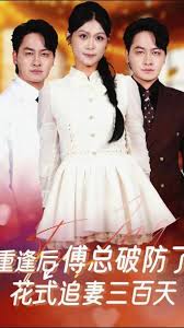 重逢后傅总破防了花式追妻三百天封面图