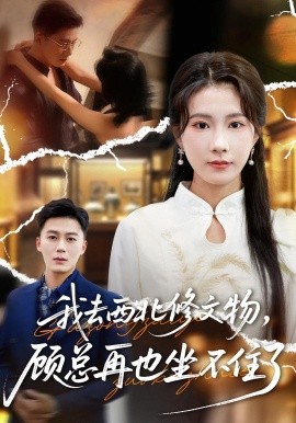 我去西北修文物顾总再也坐不住了封面图