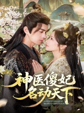 神医傻妃名动天下封面图