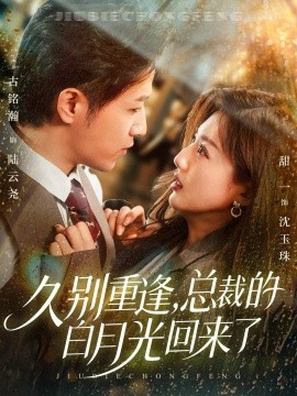 久别重逢总裁的白月光回来了