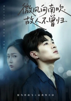 微风向南吹故人不曾归