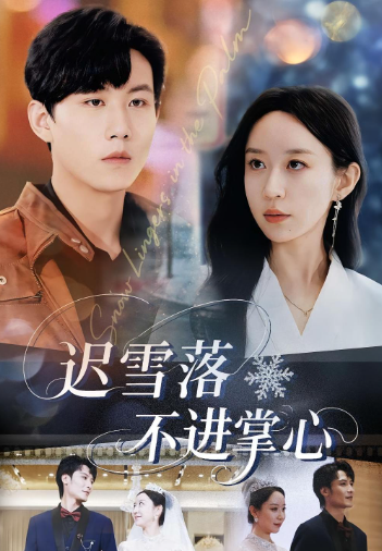 迟雪落不进掌心封面图