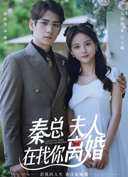 秦总夫人在找你离婚