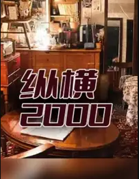 纵横2000封面图