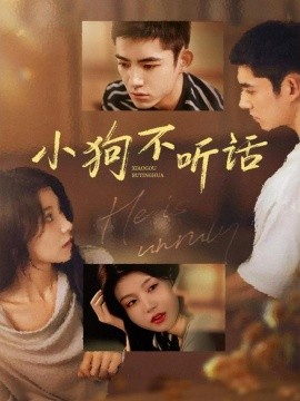 小狗不听话封面图