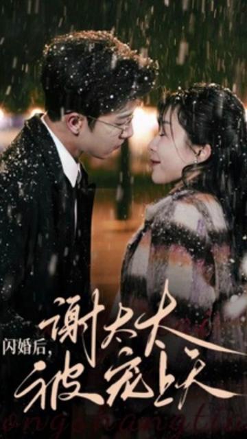 闪婚后谢太太被宠上天