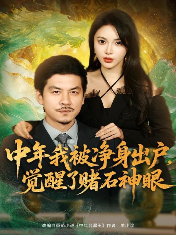 中年我被净身出户觉醒了赌石神眼