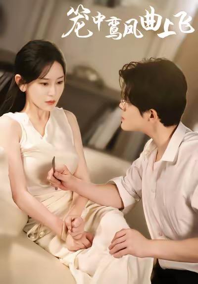 笼中鸾凤曲上飞封面图